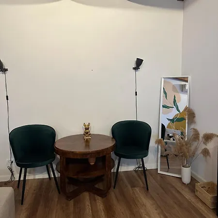 Interbelic House With Courtyard And Terrace * Bucareste