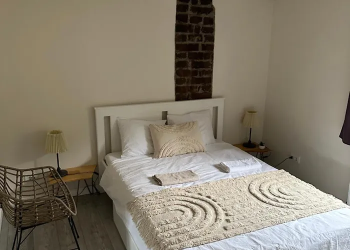 Interbelic House With Courtyard And Terrace Villa Bucareste